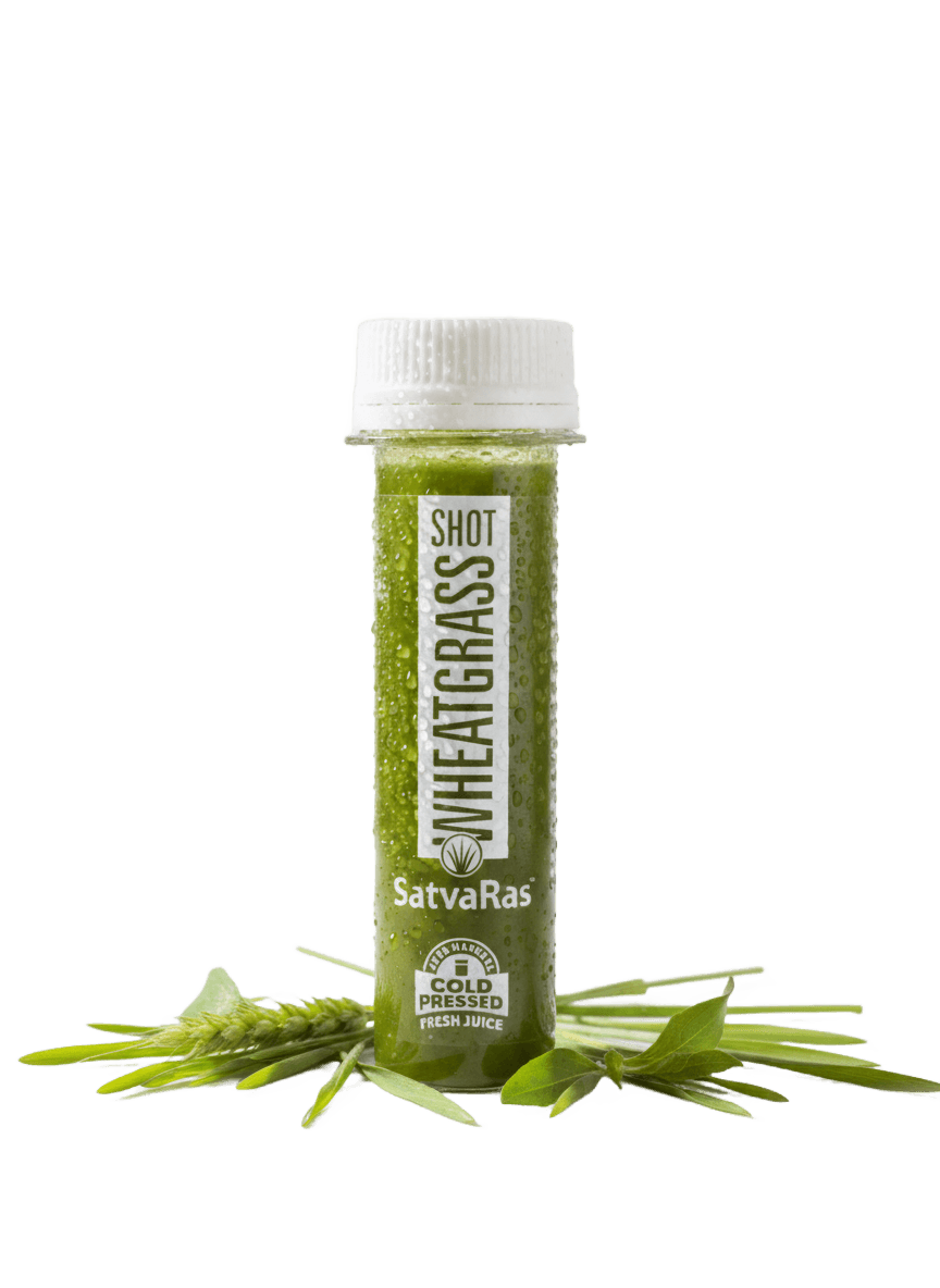 Wheatgrass Shot